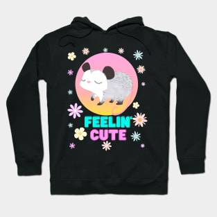 Feelin' Cute Possum Hoodie